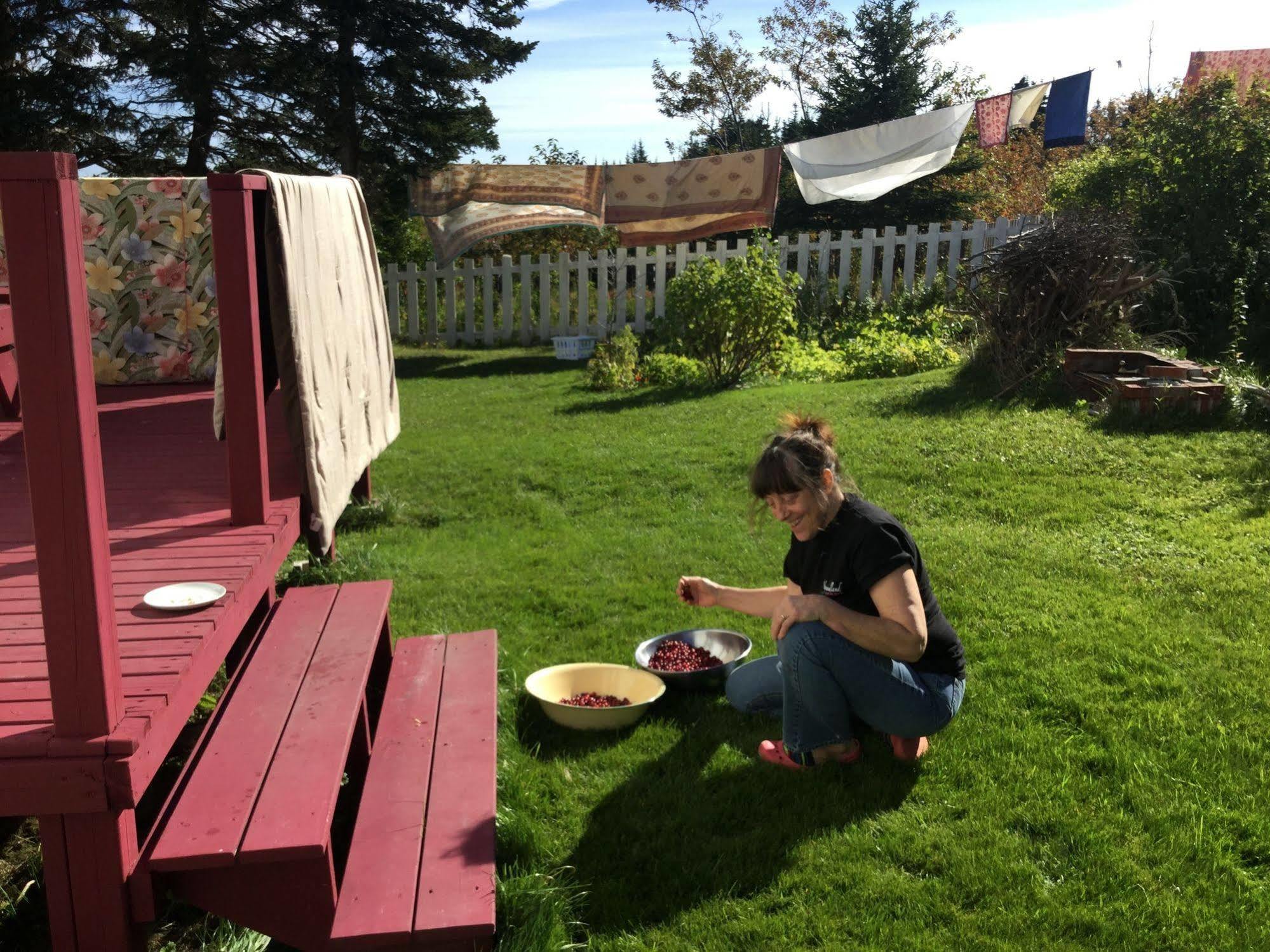 Meems Elliston B&B Buitenkant foto