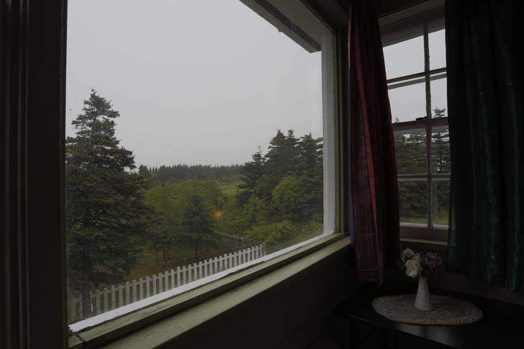 Meems Elliston B&B Buitenkant foto